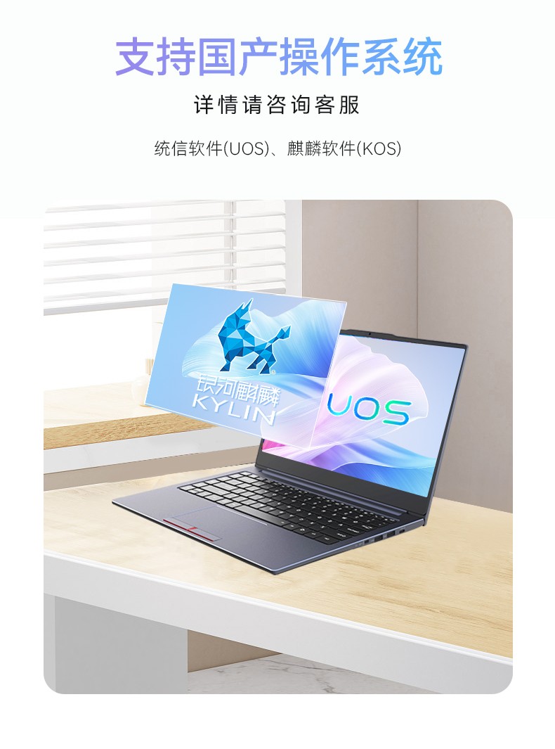 國產筆記本電腦,龍芯3A5000M處理器,DT-S14L4UD.jpg